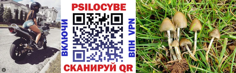 OMG ссылки  Ковылкино  Галлюциногенные грибы мухоморы 
